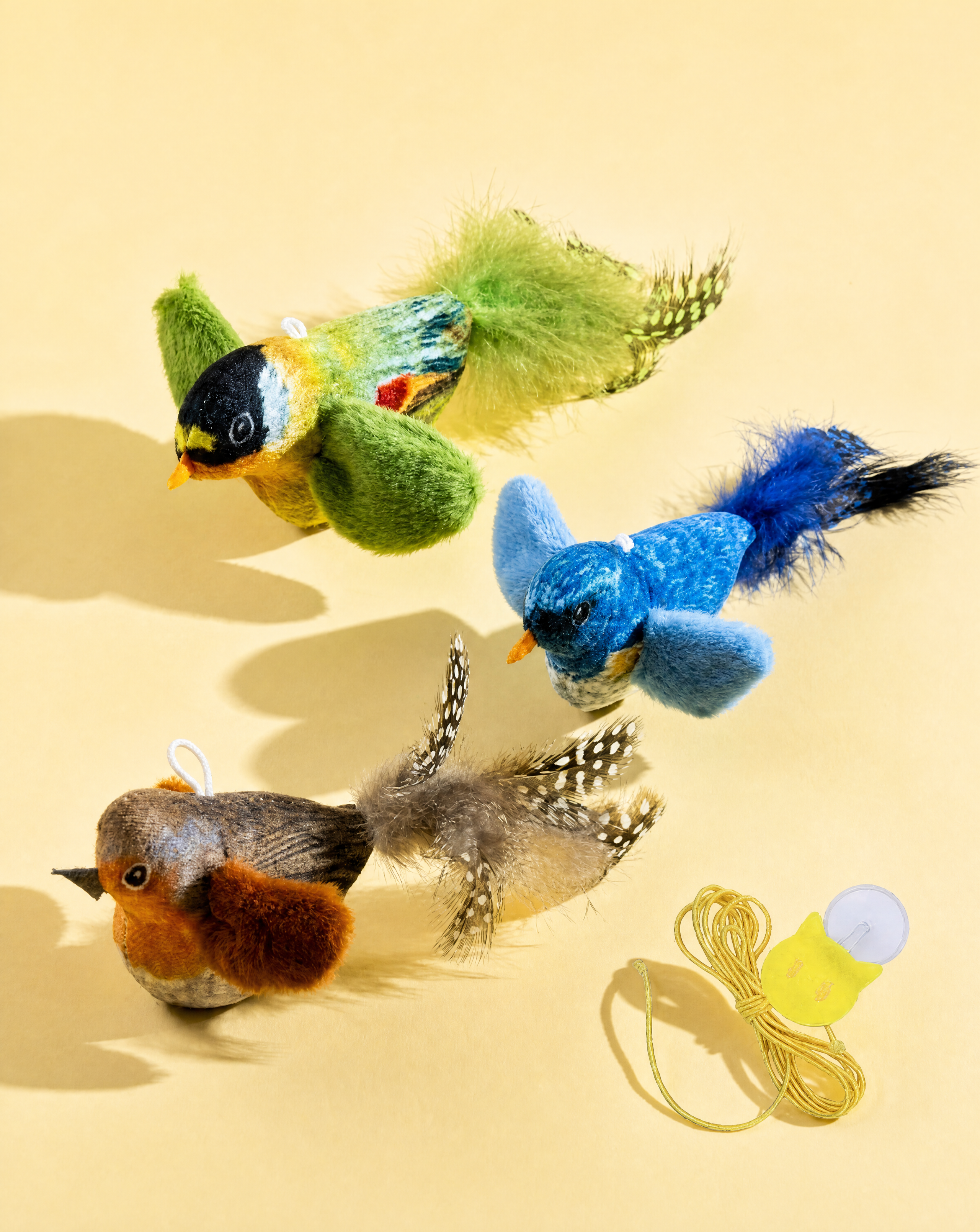 Squeaking Bird Toy