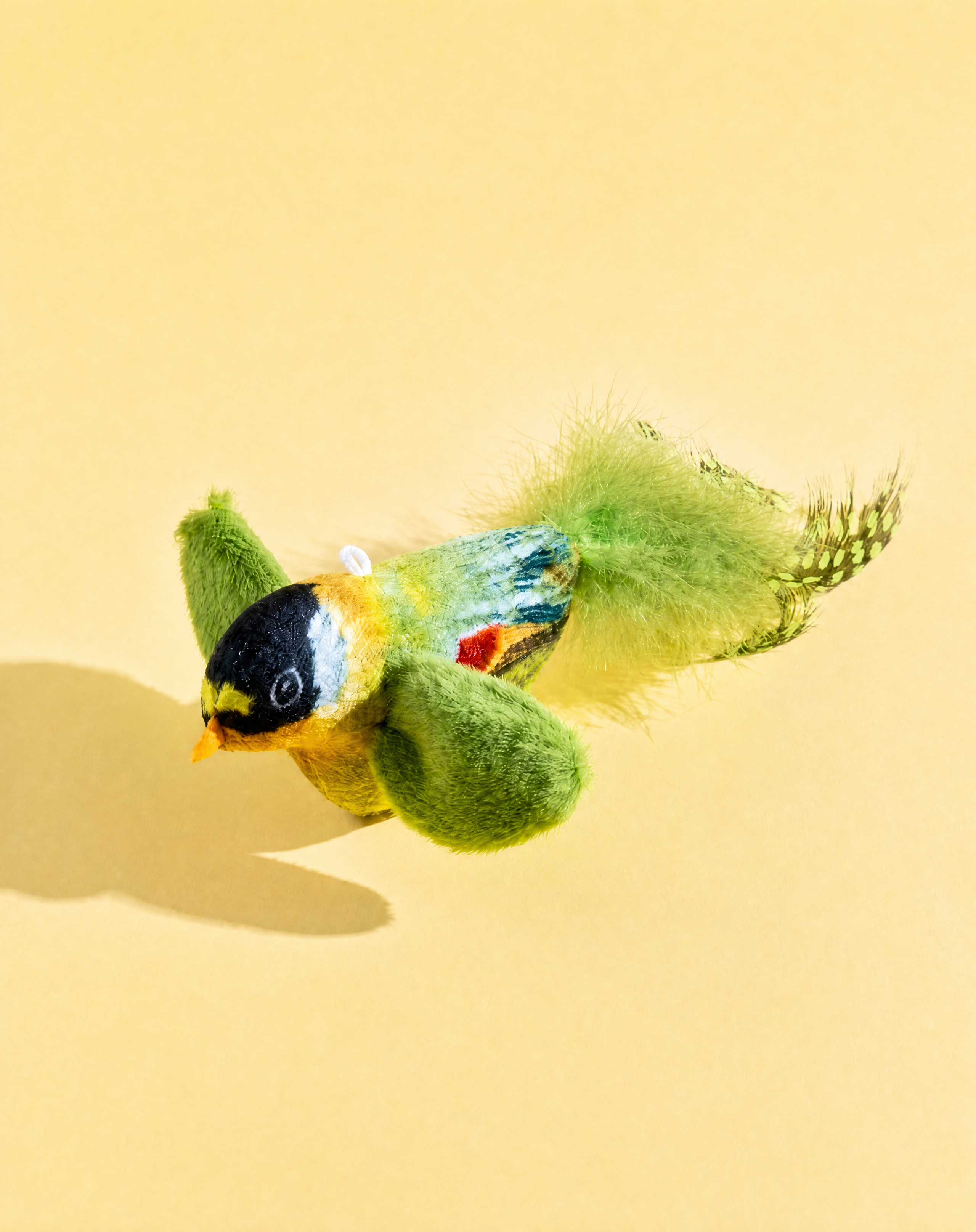 Squeaking Bird Toy