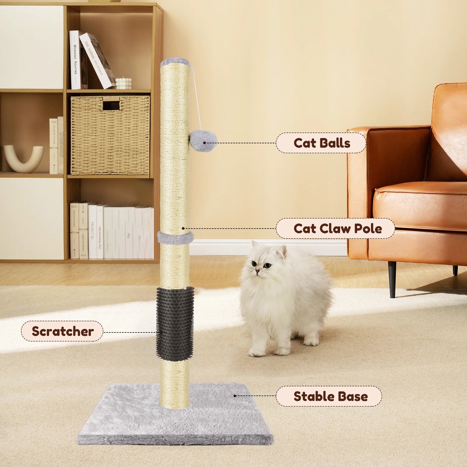 Cat scratching post with labeled parts in a home setting