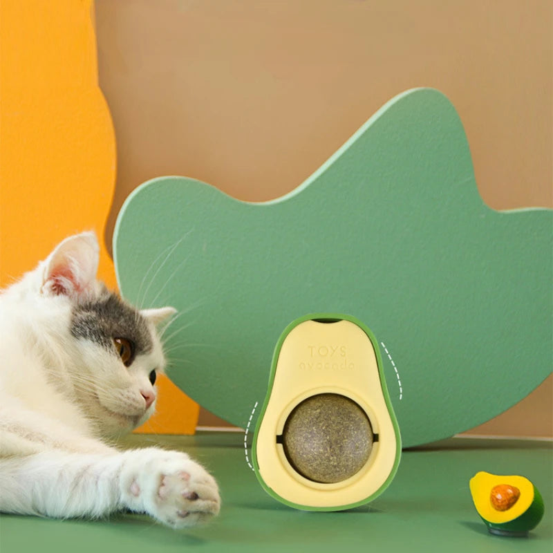 Rotating Catnip Wall Ball
