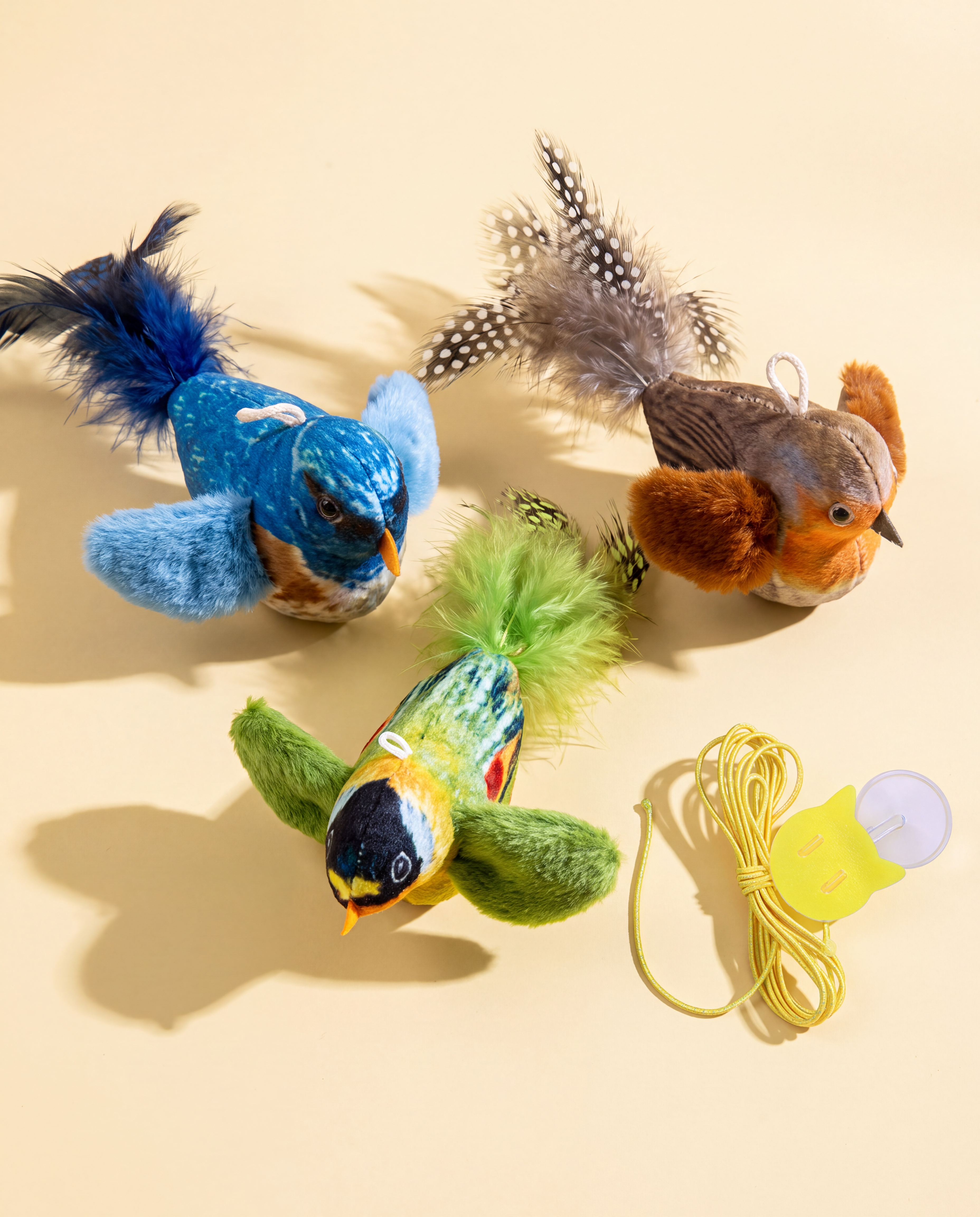 Squeaking Bird Toy
