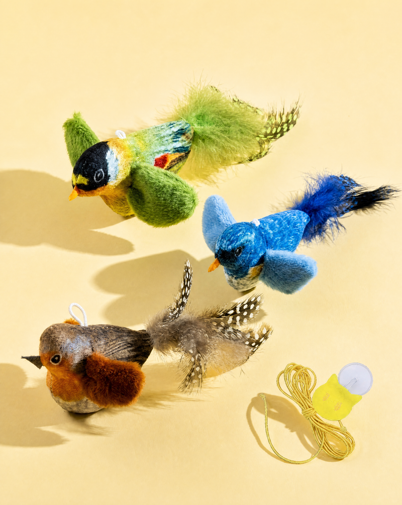 Squeaking Bird Toy