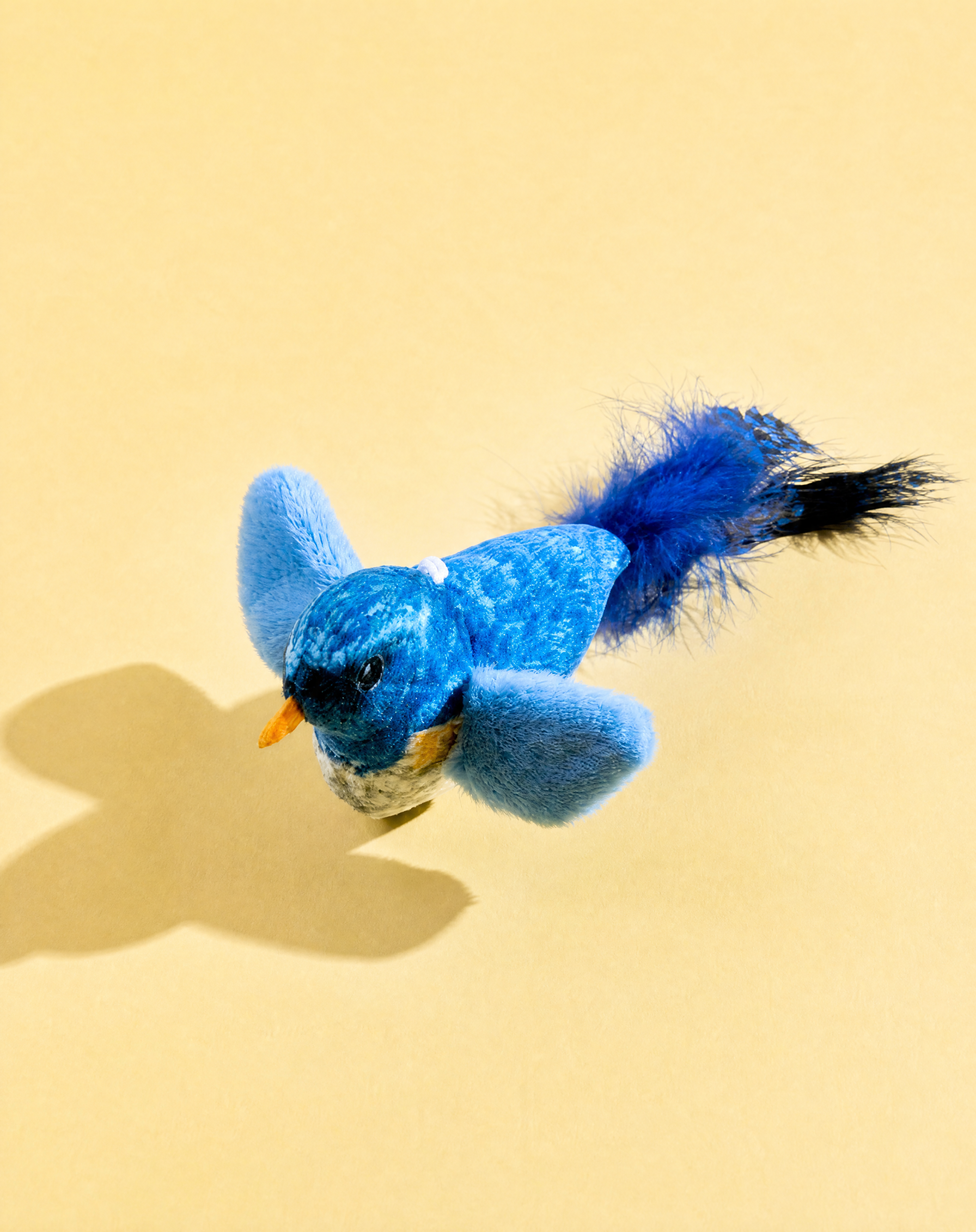 Squeaking Bird Toy