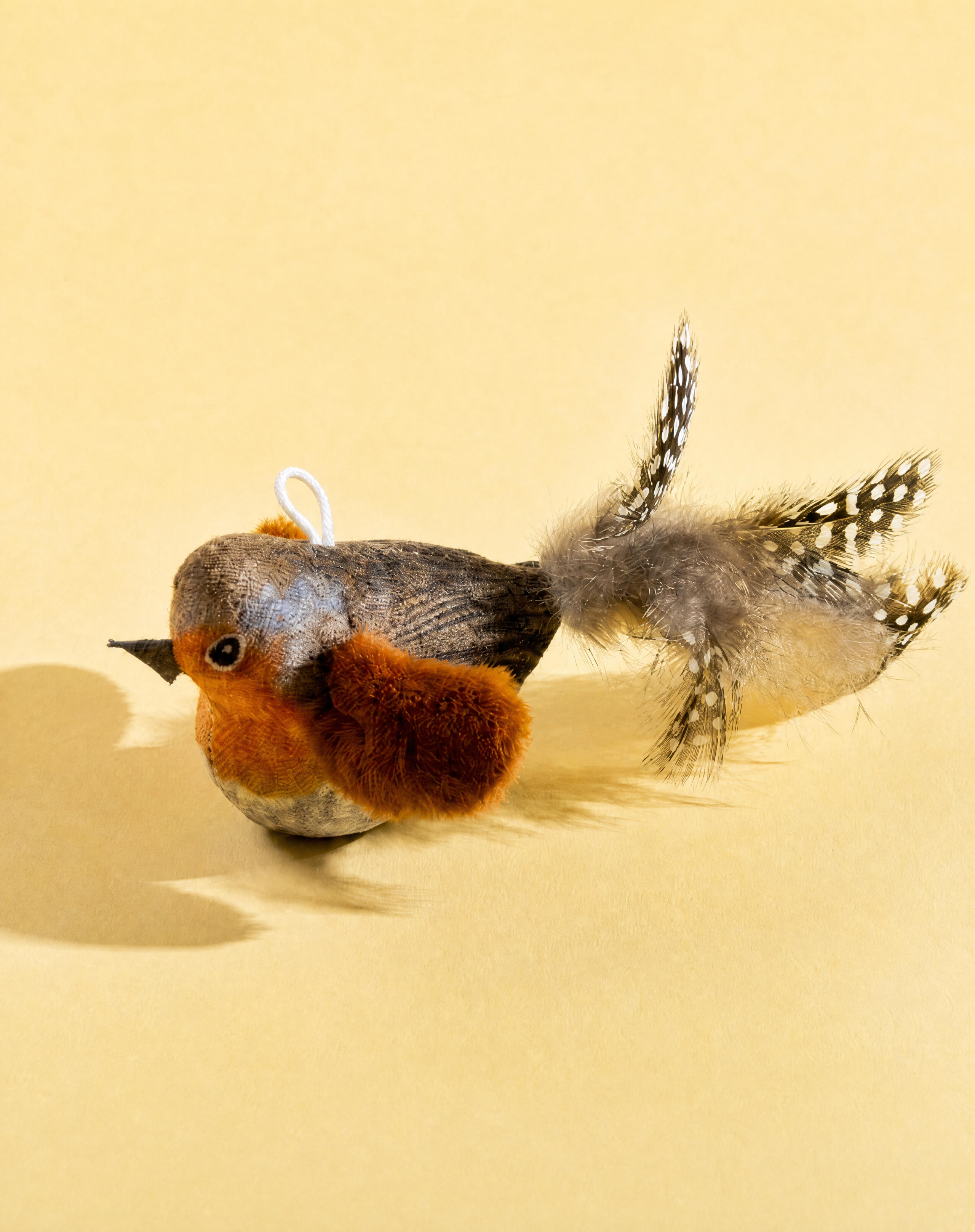 Squeaking Bird Toy