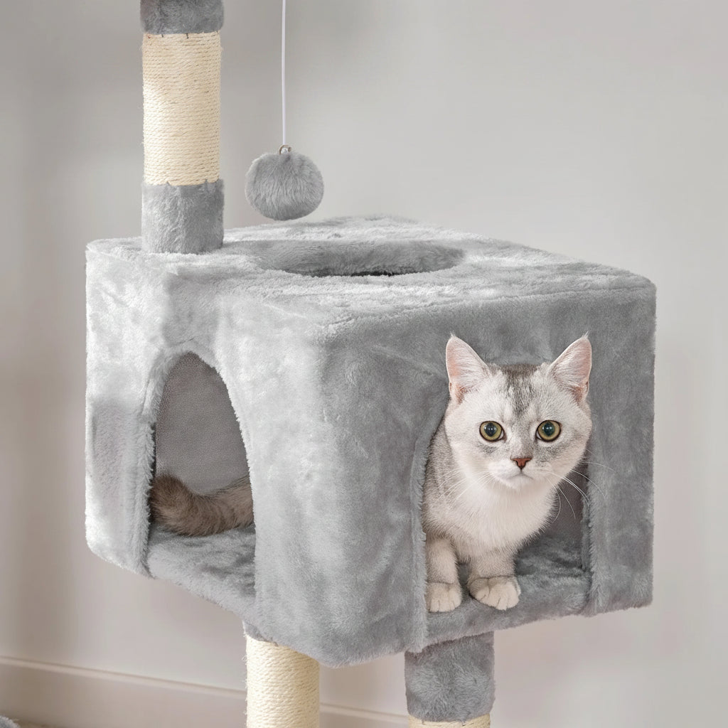 Cat sitting on a grey cat tree 