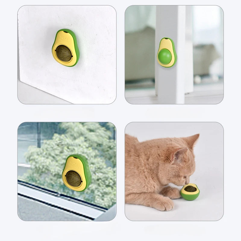 Rotating Catnip Wall Ball
