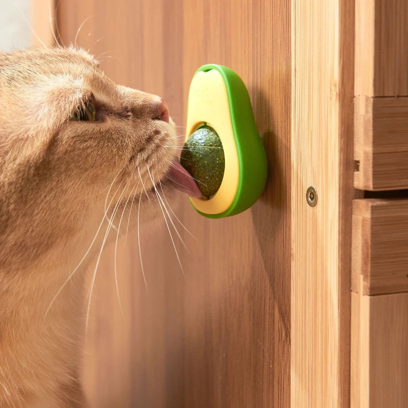 Rotating Catnip Wall Ball