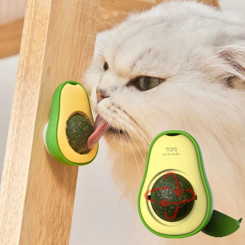Rotating Catnip Wall Ball